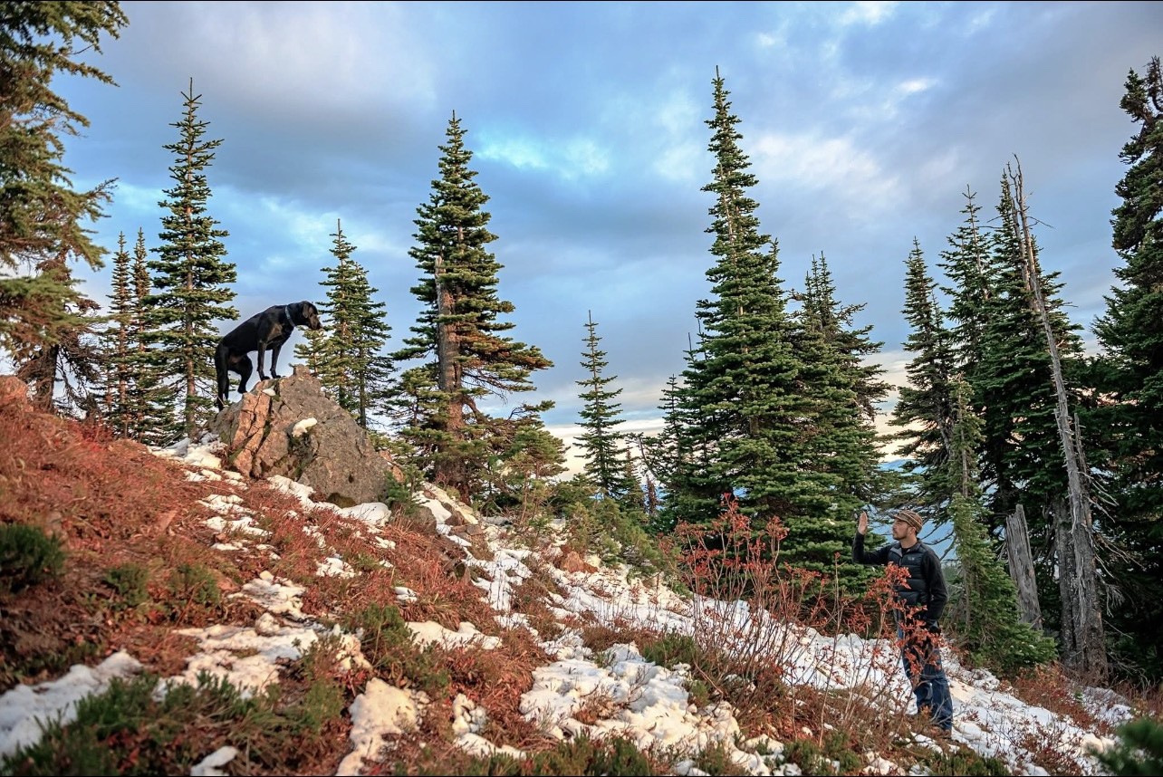 Cody working a black Lab on a mountain rock, dog holding a steady position while Cody signals from below